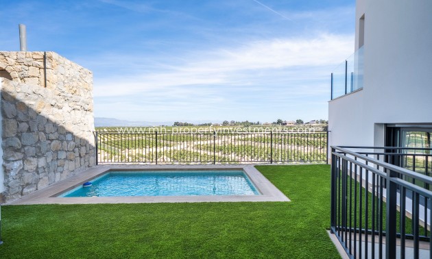 detached - New Build - Algorfa - Algorfa