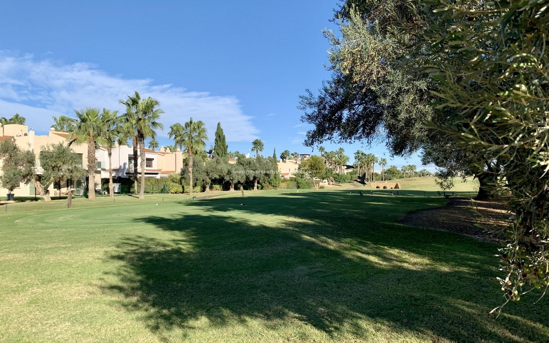 Neubau - Bungalow - San Javier - Roda Golf