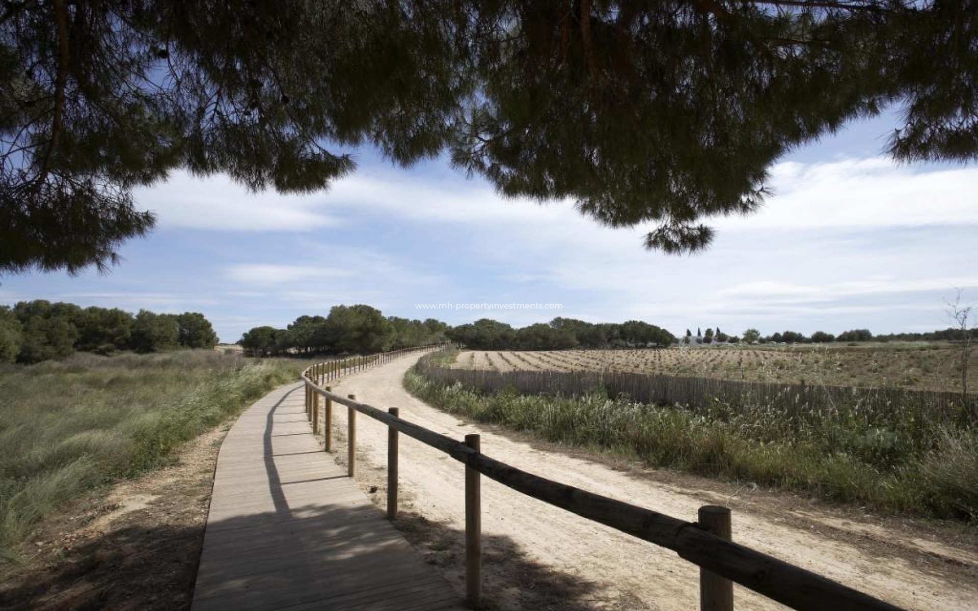 Neubau - Bungalow - Torrevieja - Altos del Sol