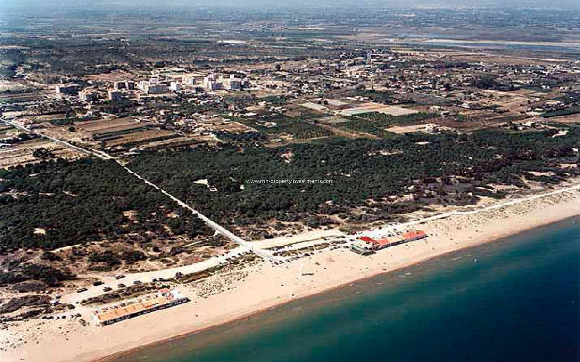Neubau - detached - San Fulgencio