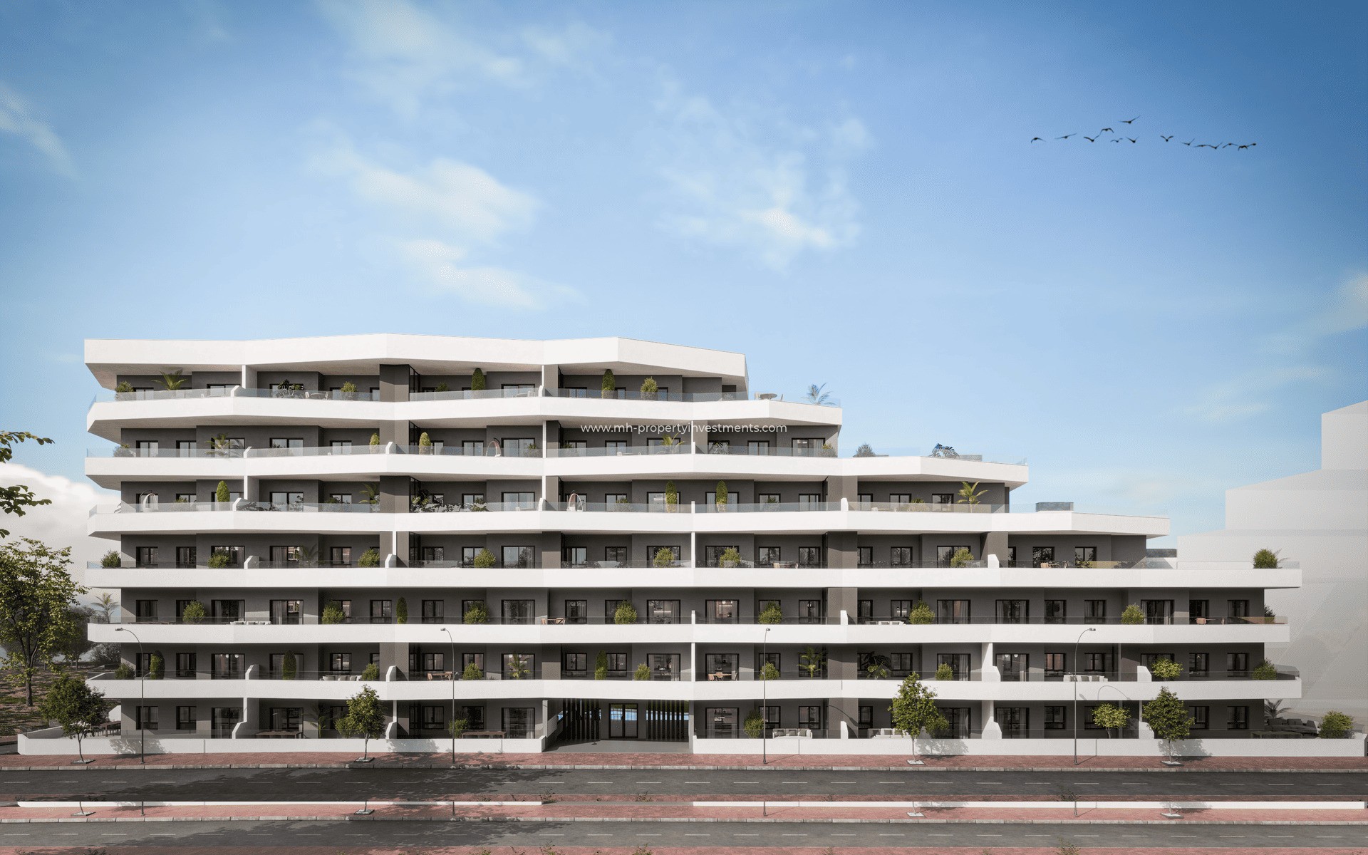 Neubau - ground-floor - San Miguel de Salinas