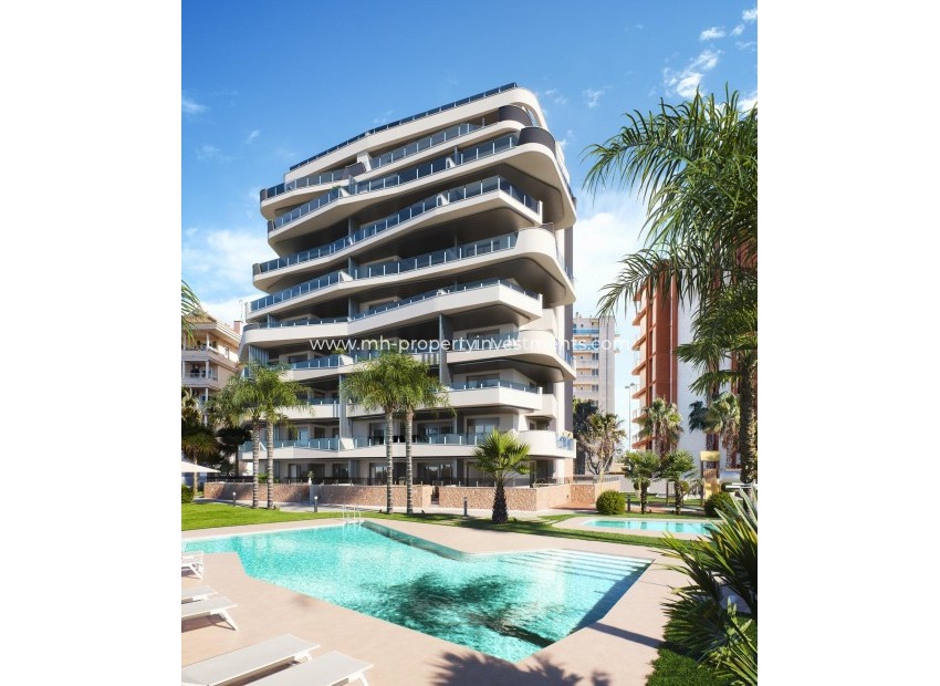 Neubau - penthouse - Guardamar del Segura - Puerto