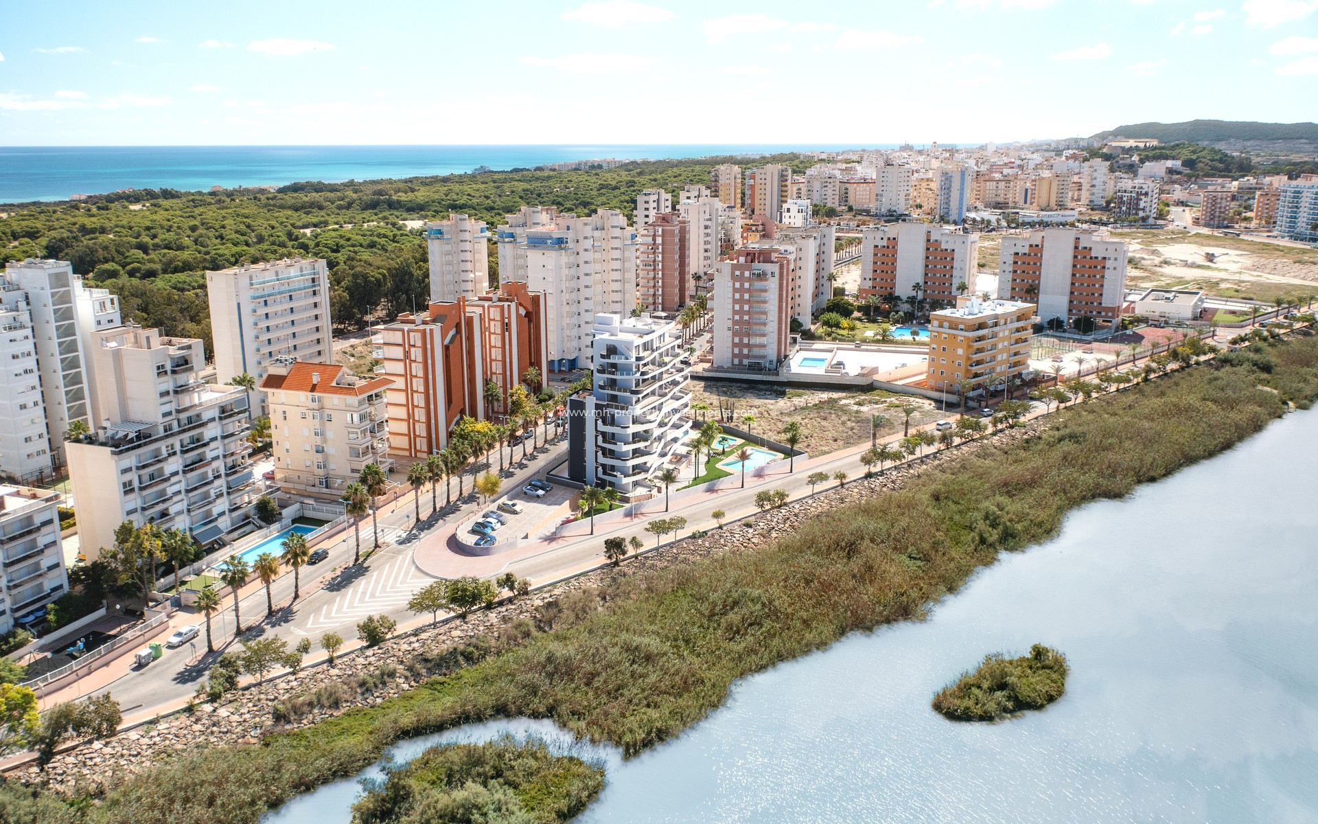 Neubau - penthouse - Guardamar del Segura