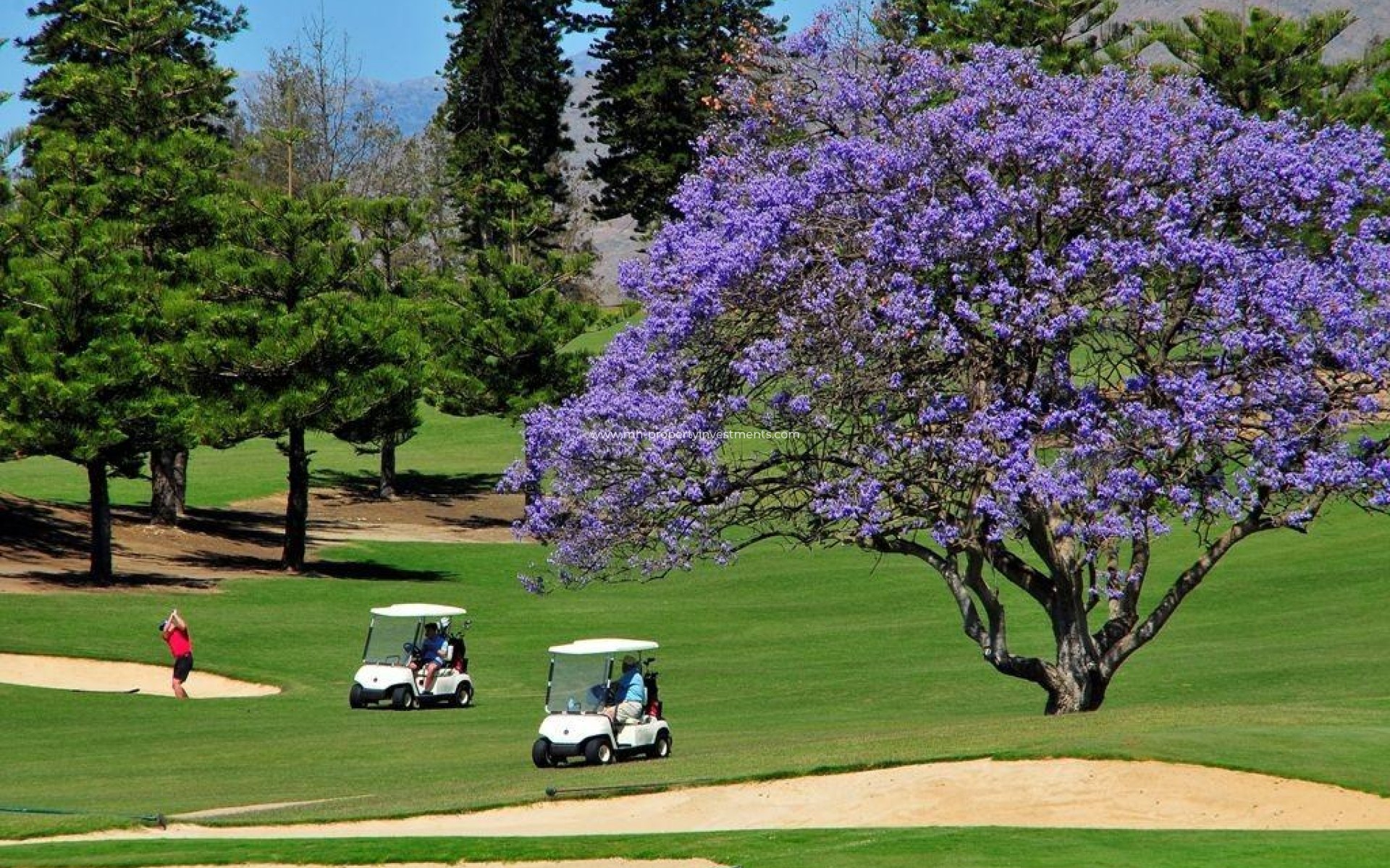 Neubau - penthouse - Mijas - La Cala Golf