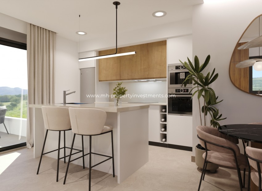 Neubau - penthouse - Murcia
