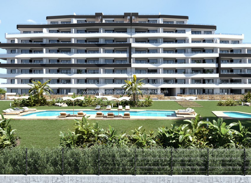 Neubau - penthouse - San Miguel de Salinas