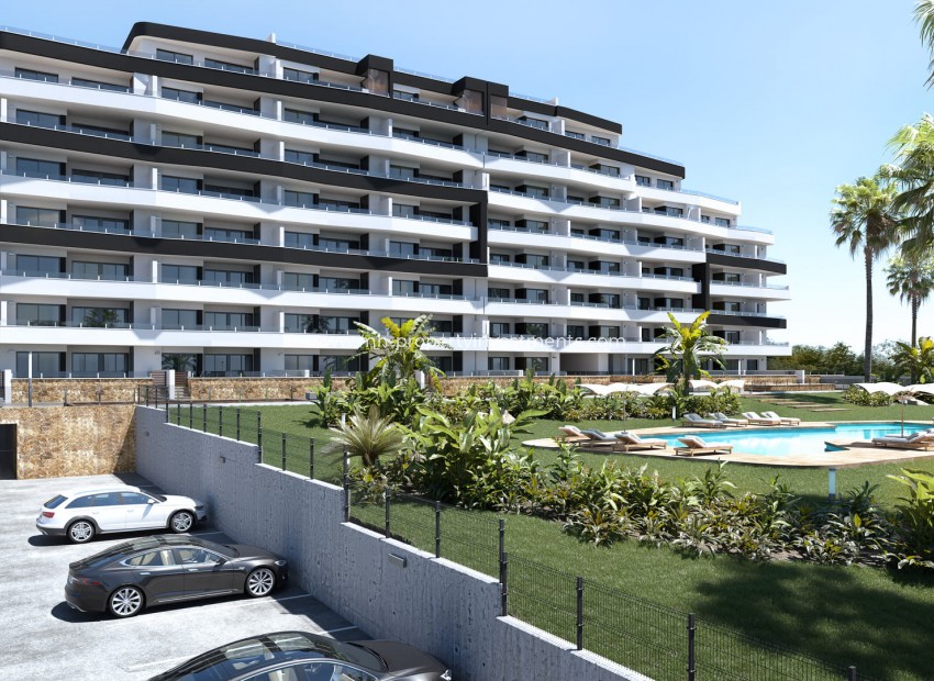 Neubau - penthouse - San Miguel de Salinas