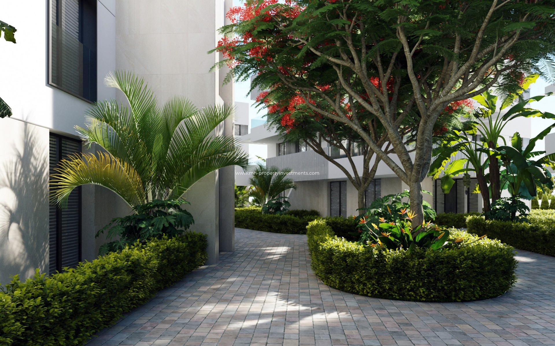 Neubau - penthouse - Torre-Pacheco