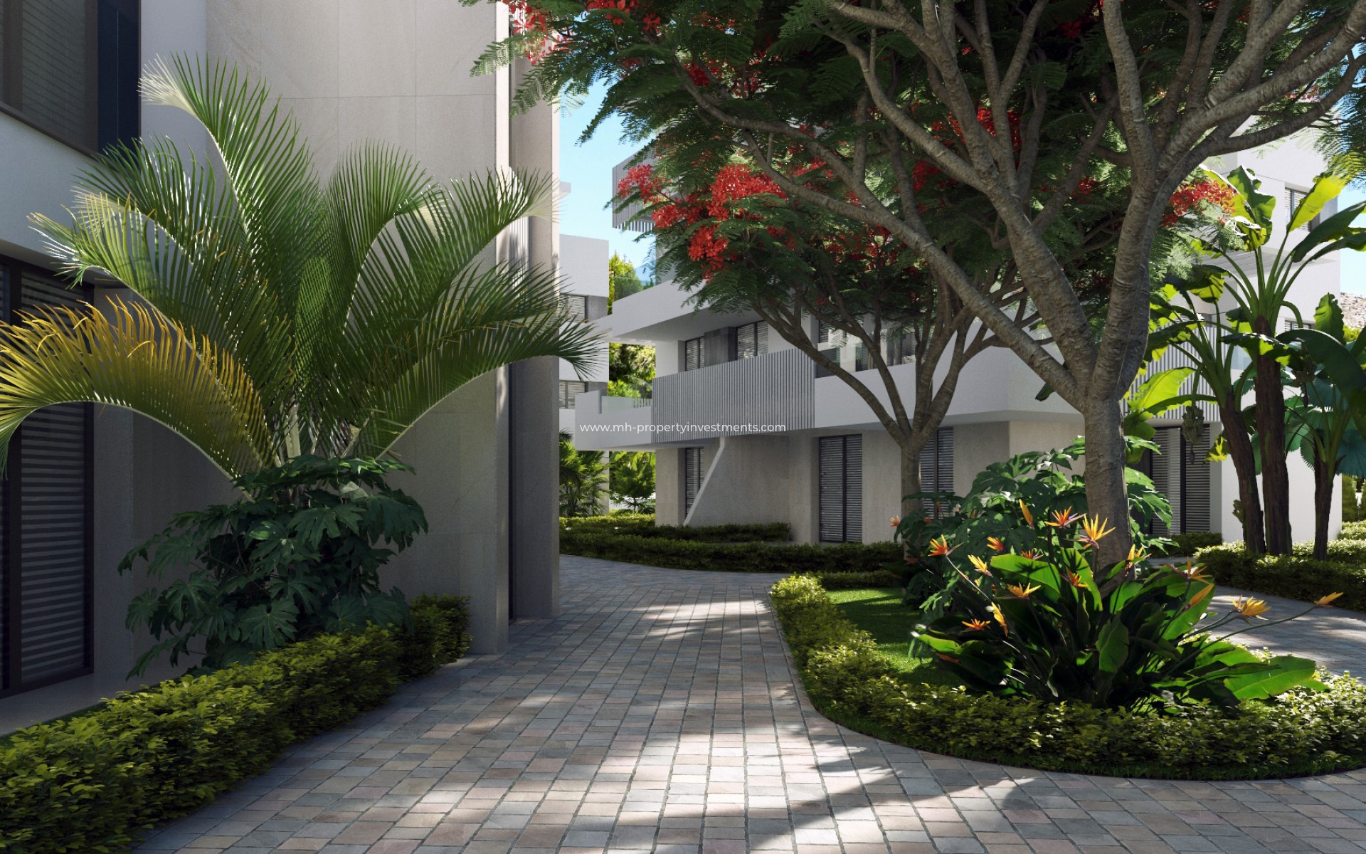 Neubau - penthouse - Torre-Pacheco
