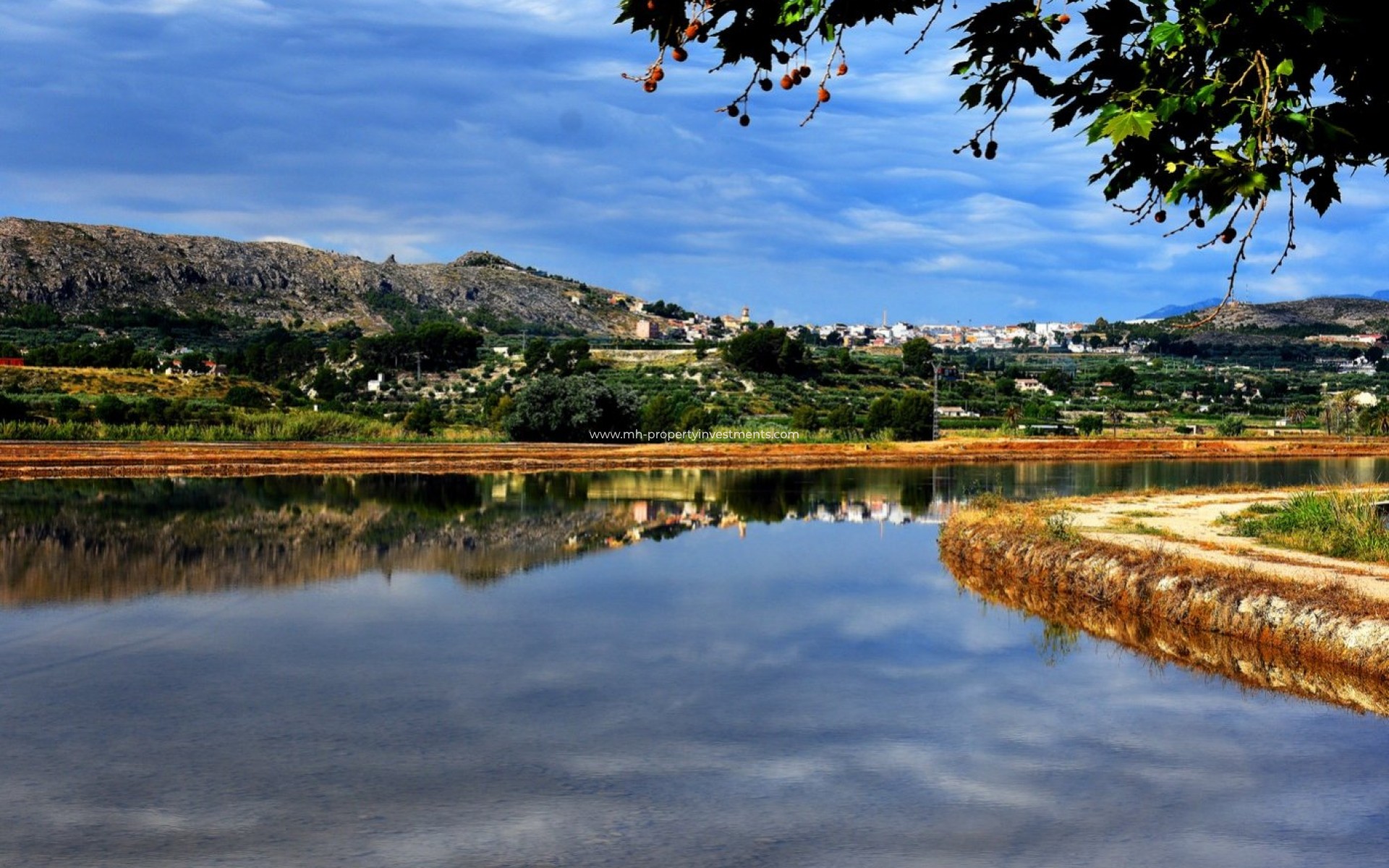 Neubau - Villa - Calasparra - Coto Riñales