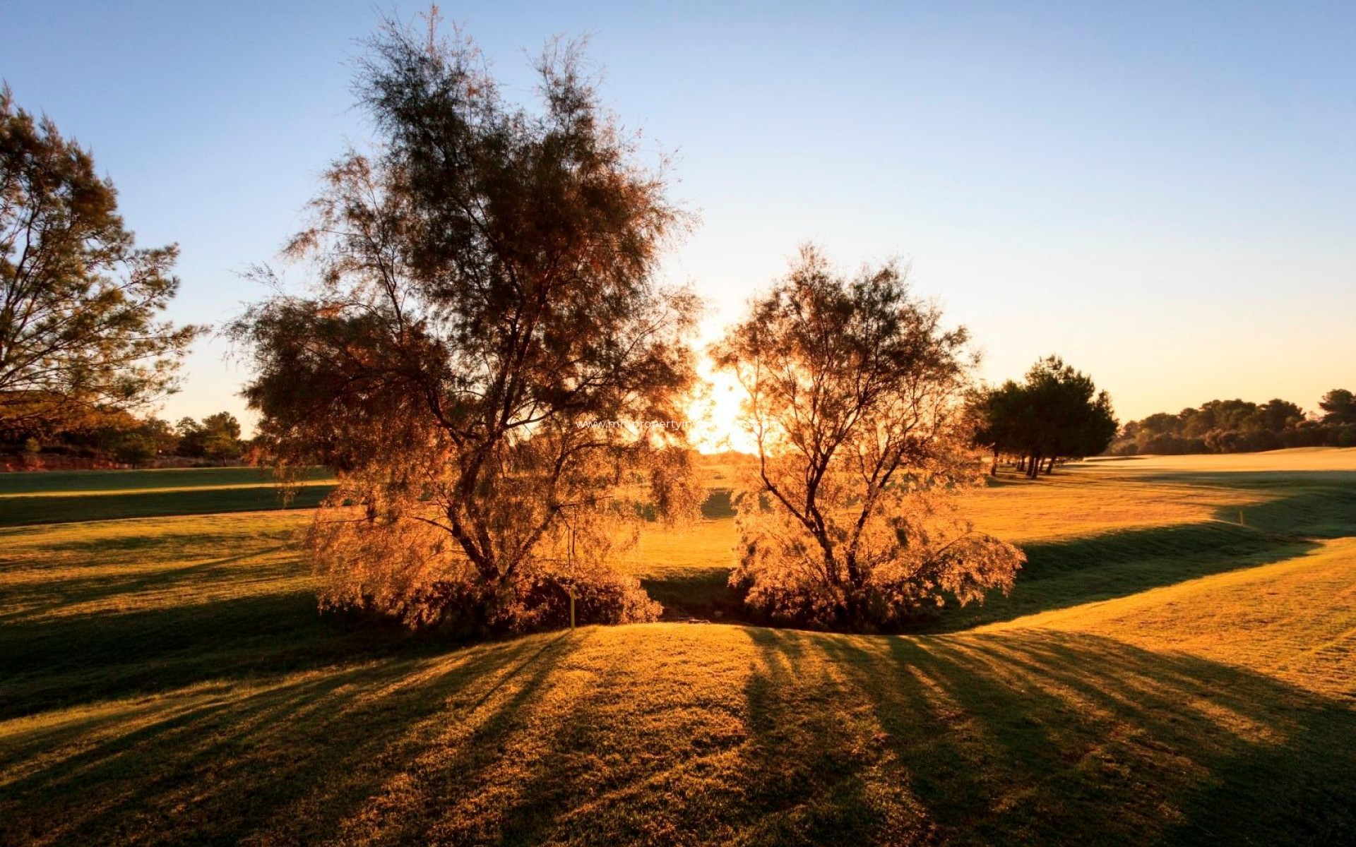 Neubau - Villa - Pilar de la Horadada - Lo romero golf