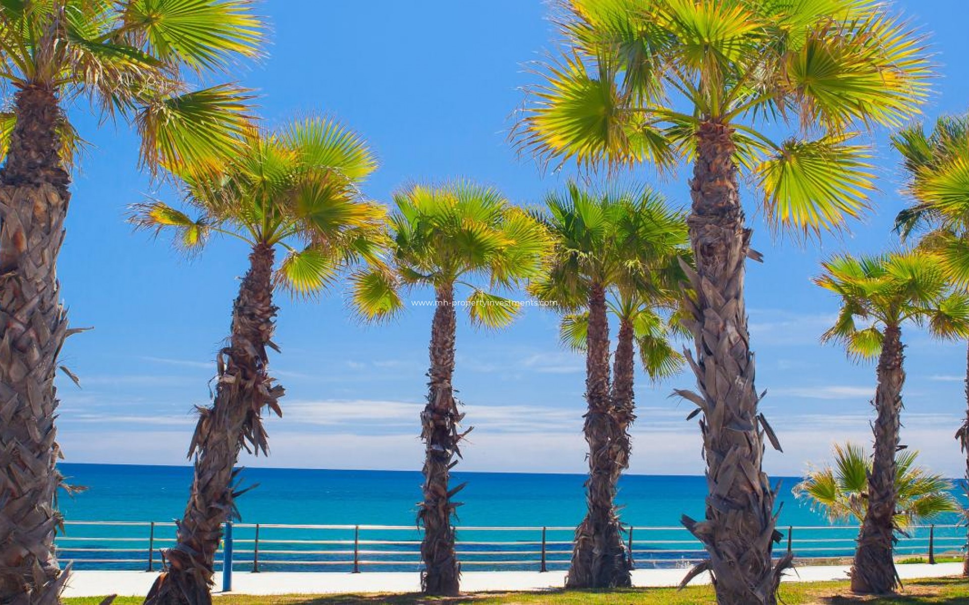 Neubau - Wohnung - Cabo Roig