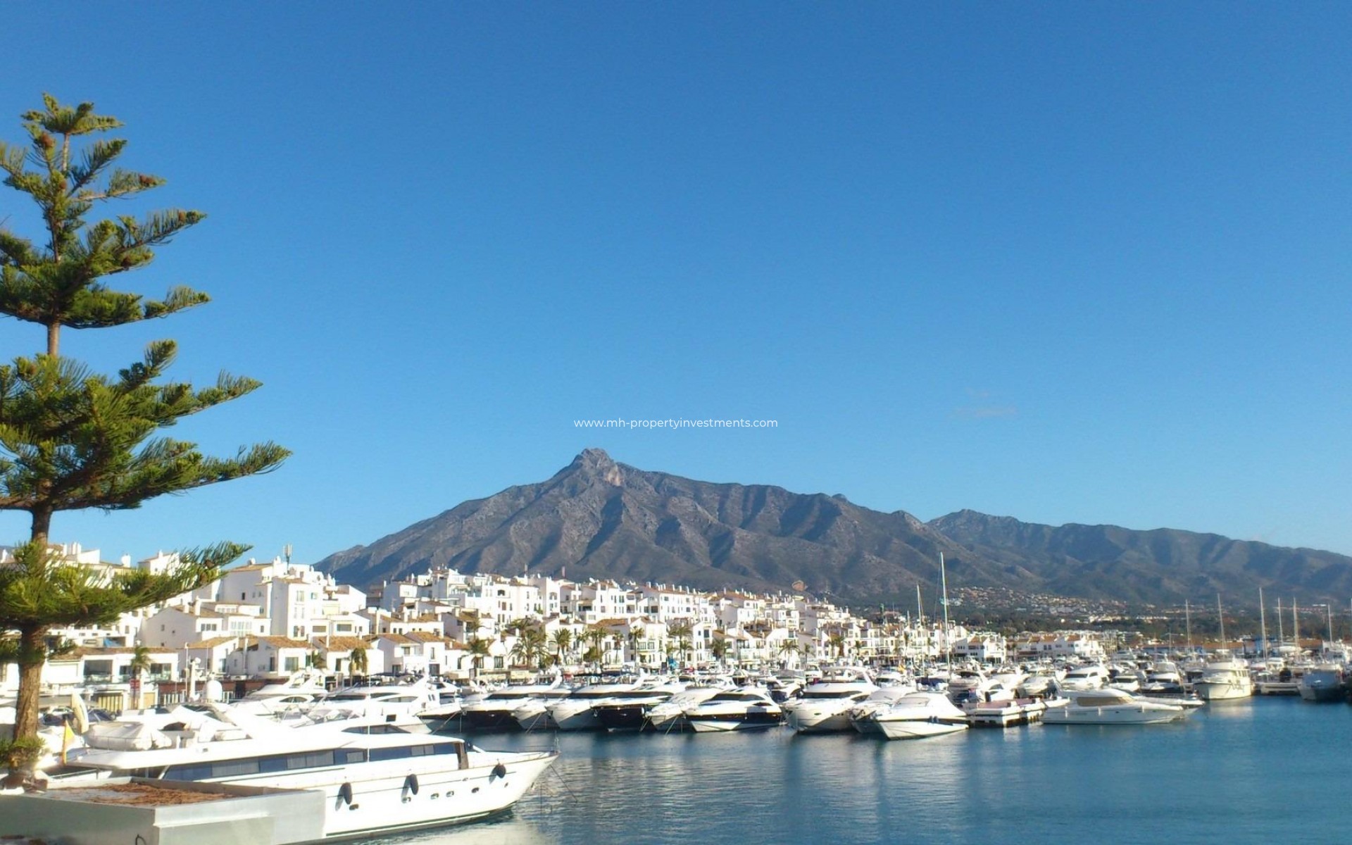 New Build - Apartment - Marbella - Nueva Andalucia