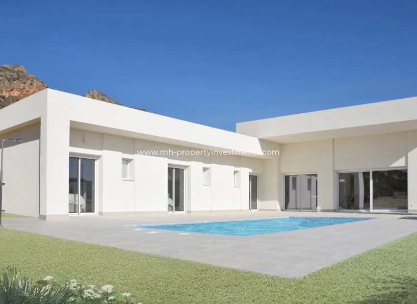 New Build - detached - La Romana