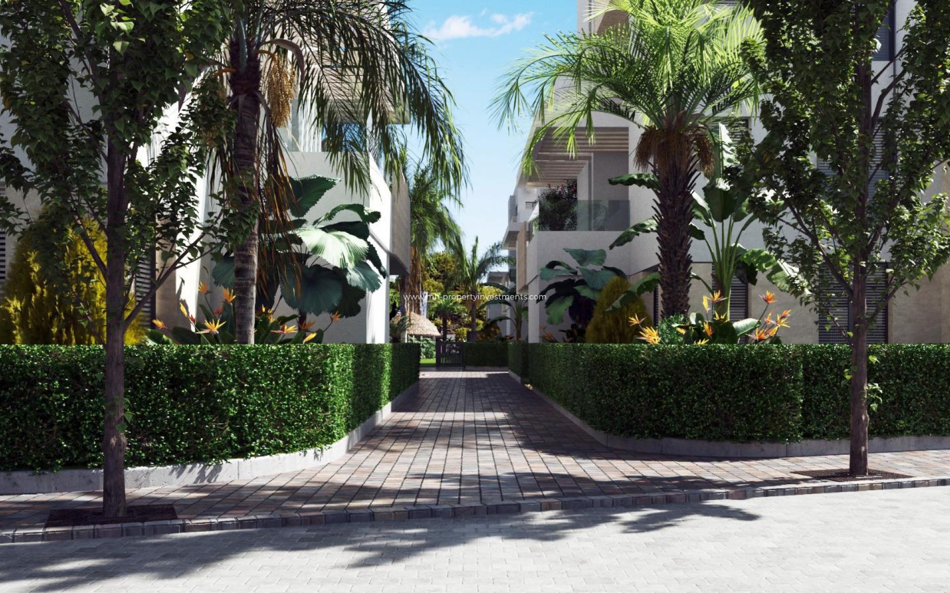 New Build - ground-floor - Torre-Pacheco