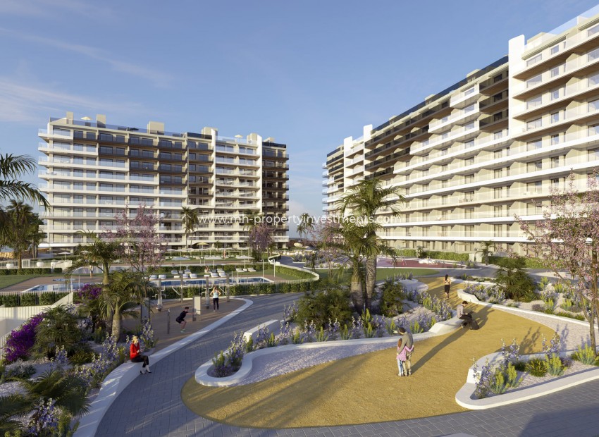 New Build - ground-floor - Torrevieja