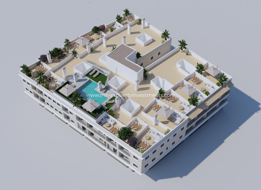 New Build - penthouse - Algorfa