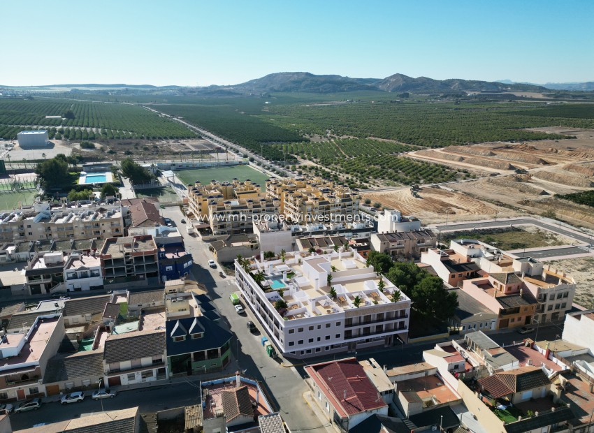 New Build - penthouse - Algorfa