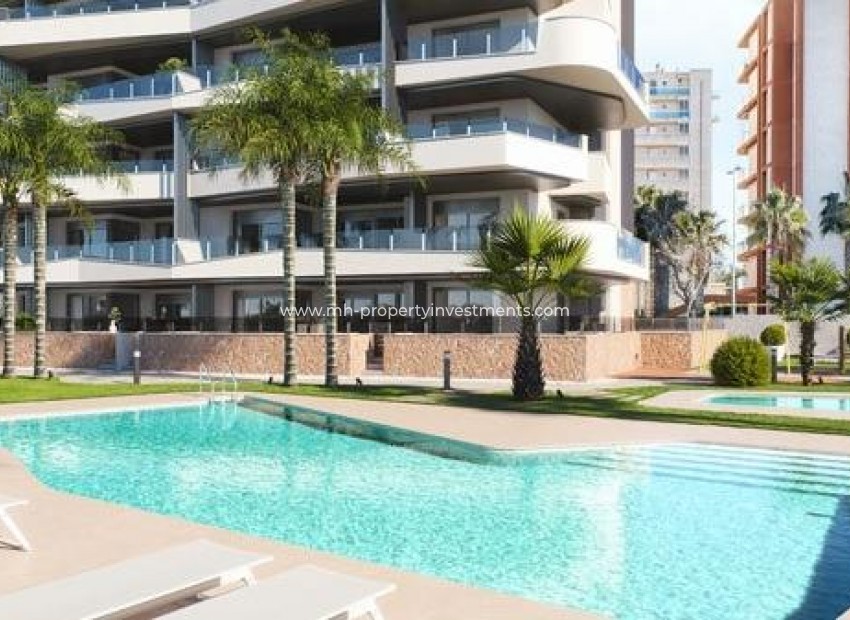 New Build - penthouse - Guardamar del Segura - Puerto