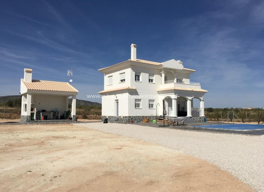 New Build - Villa - Pinoso - Camino Del Prado