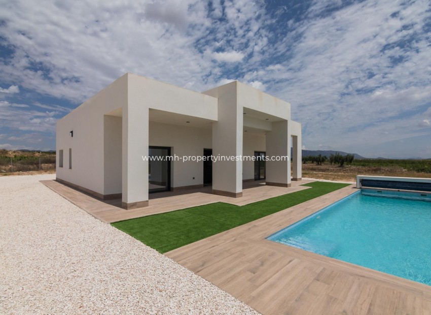 New Build - Villa - Pinoso - Lel