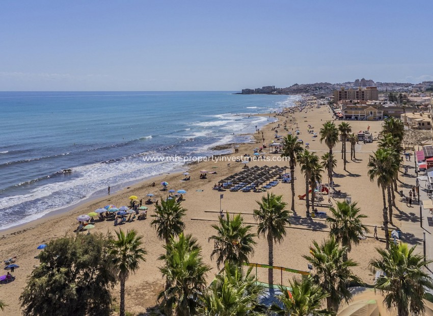 Nouvelle construction - Apartment - La Mata