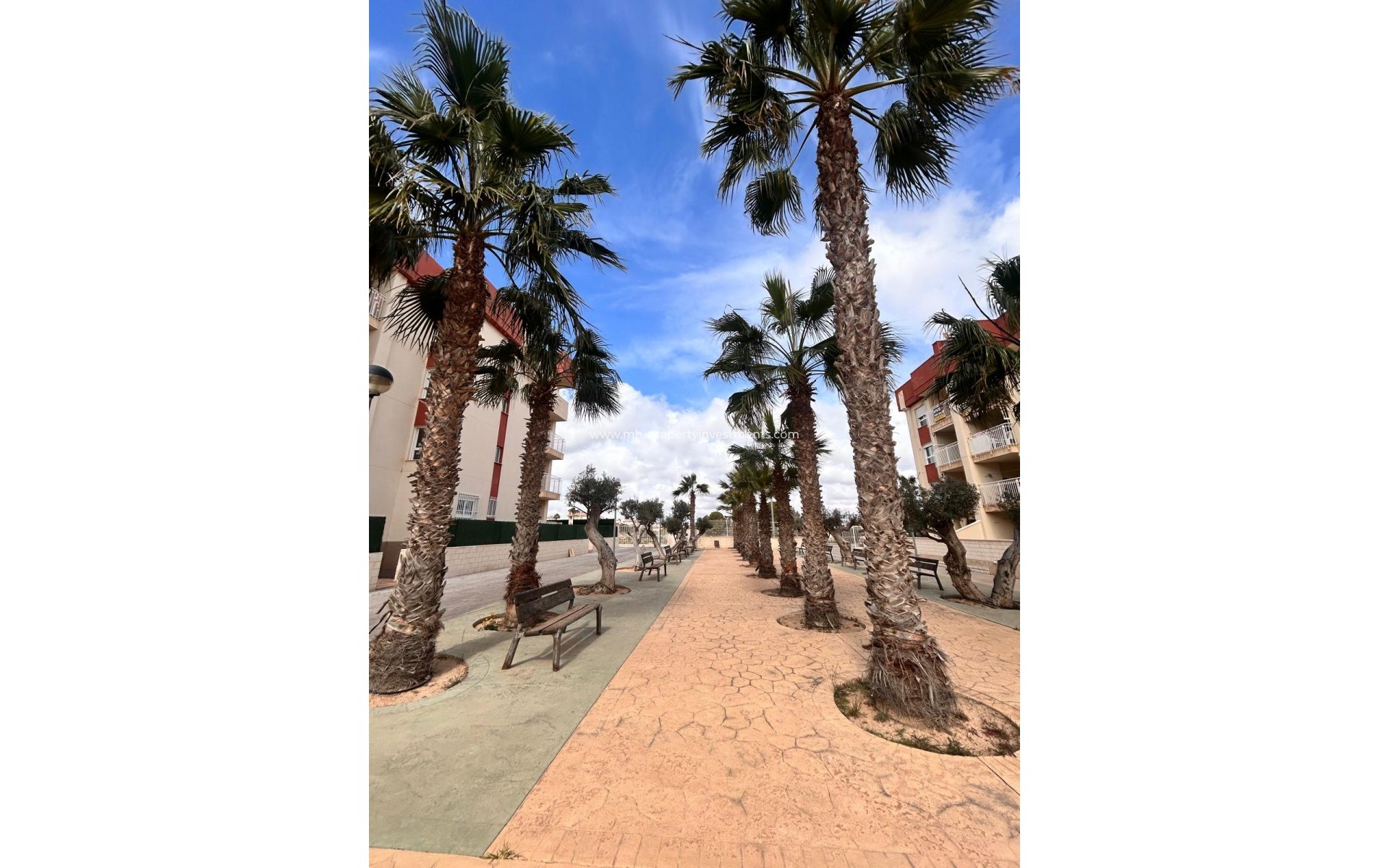 Nouvelle construction - Apartment - Orihuela Costa