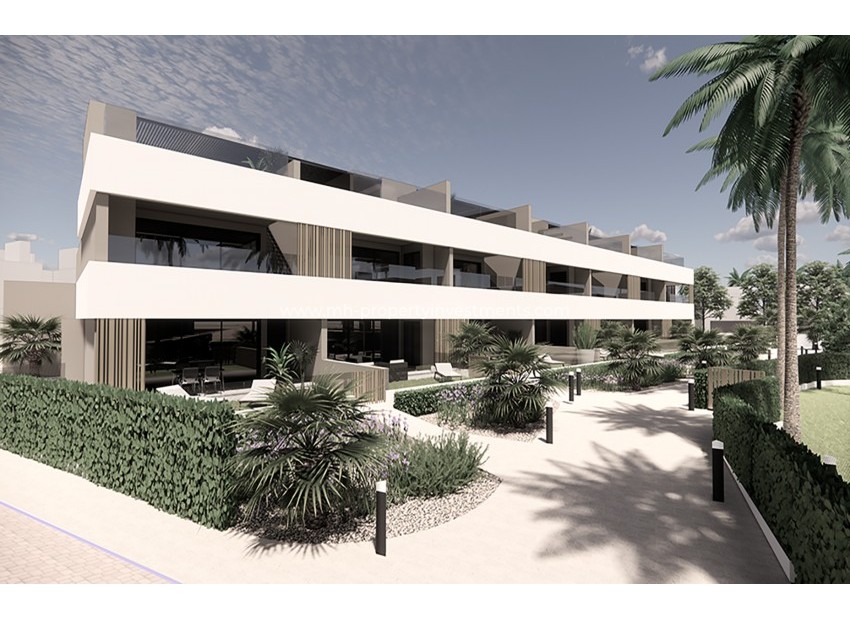 Nouvelle construction - Apartment - Santa Rosalía