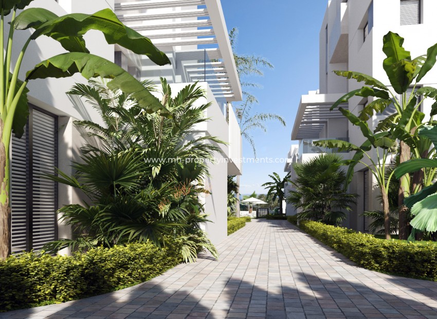 Nouvelle construction - Apartment - Torre-Pacheco