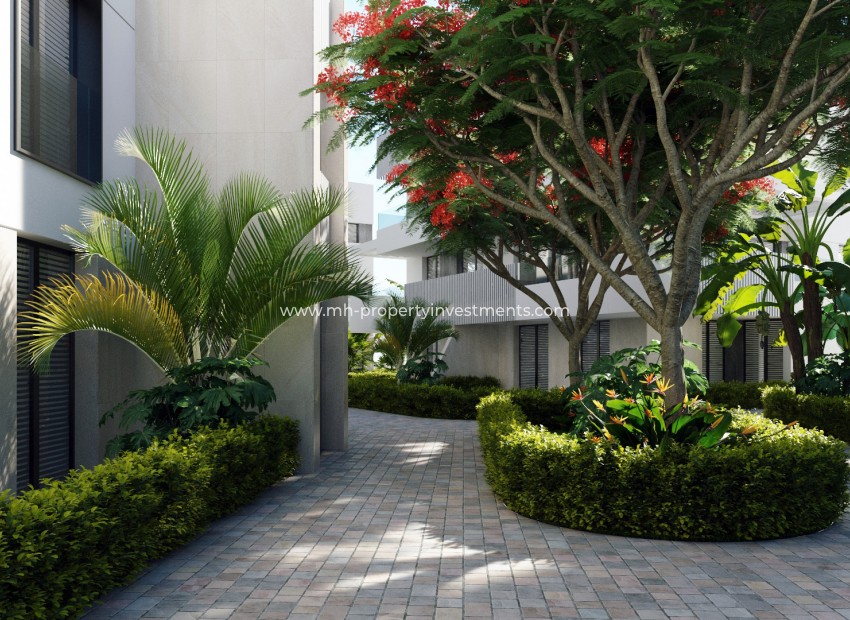 Nouvelle construction - Apartment - Torre-Pacheco