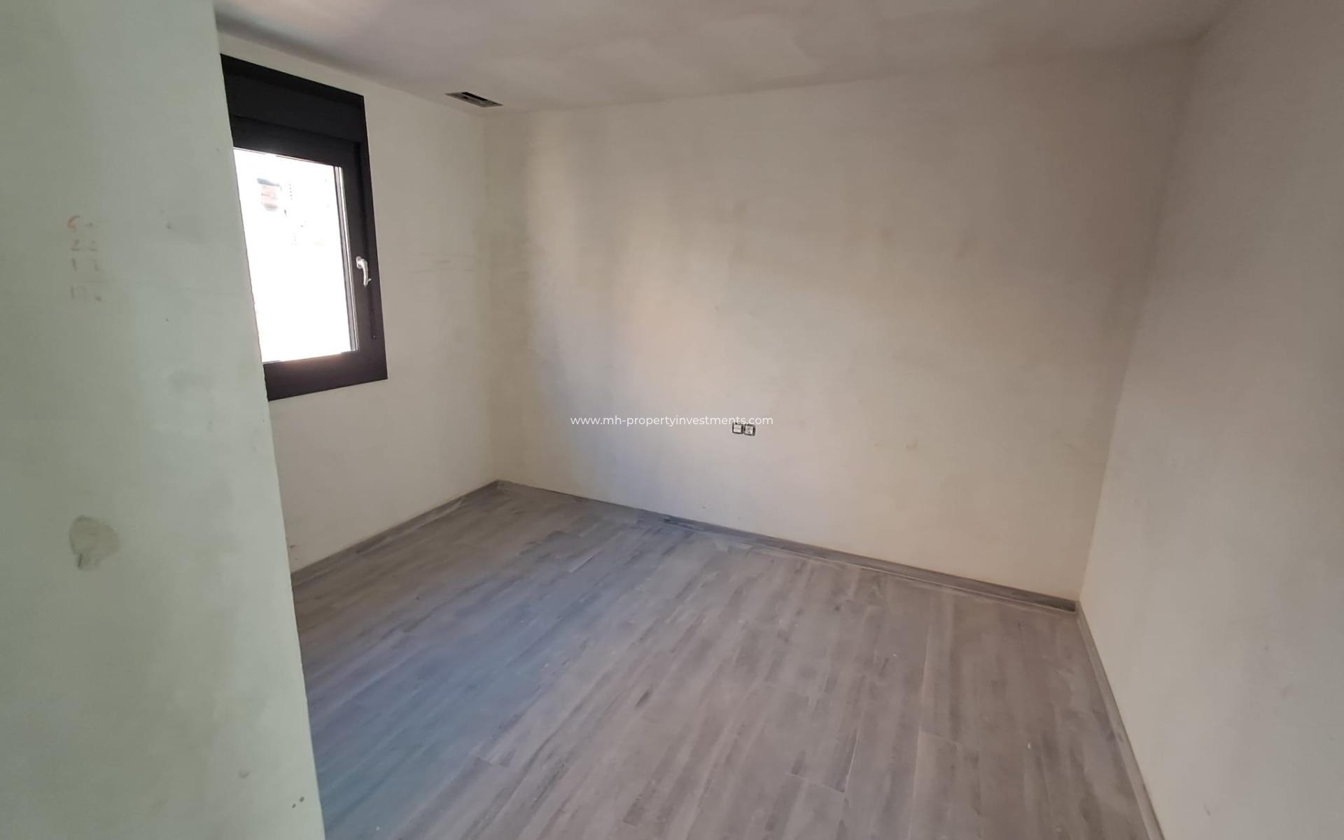 Nouvelle construction - detached - Pilar de la Horadada