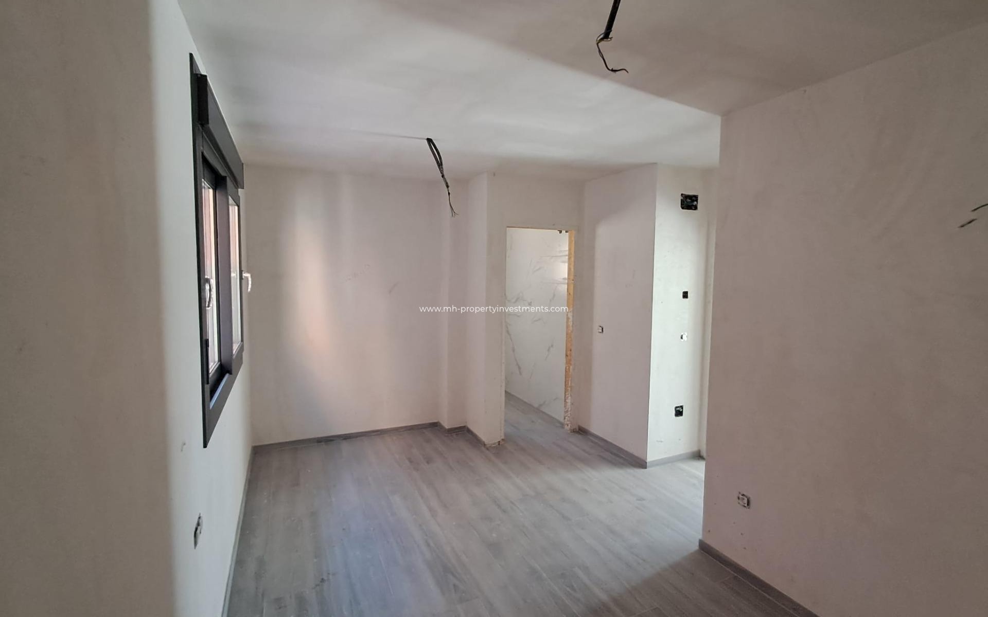Nouvelle construction - detached - Pilar de la Horadada