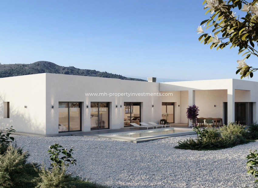 Nouvelle construction - detached - Pinoso