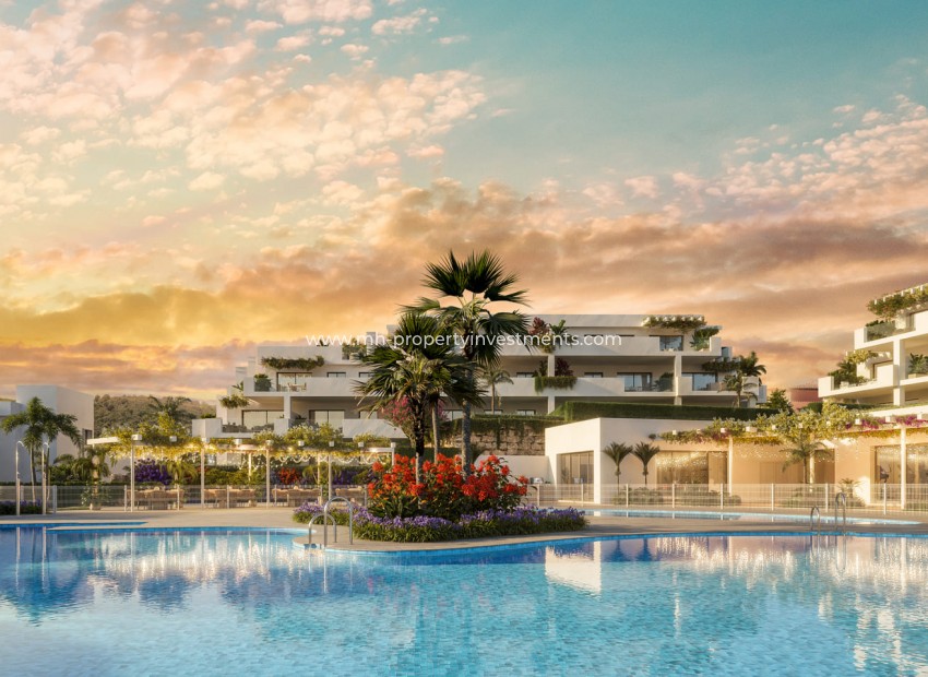 Nouvelle construction - ground-floor - Casares