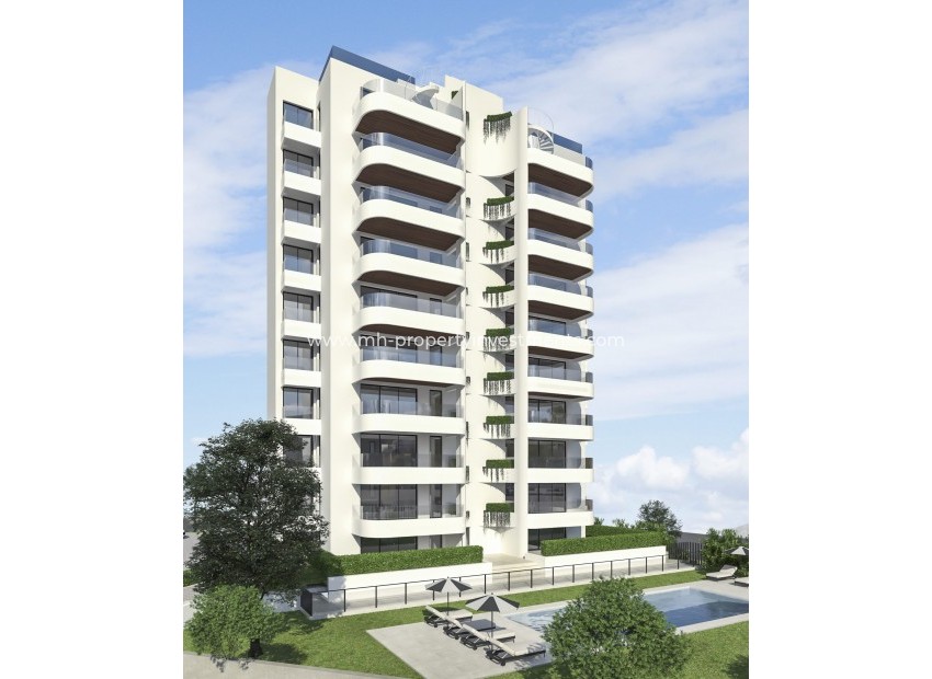 Nouvelle construction - ground-floor - Guardamar del Segura