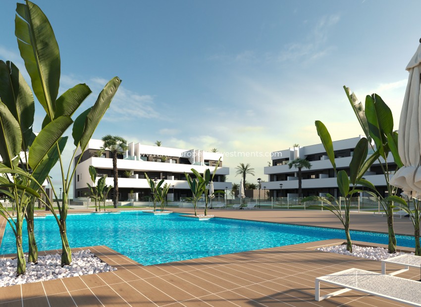Nouvelle construction - ground-floor - Guardamar del Segura