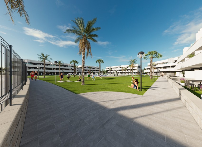Nouvelle construction - ground-floor - Guardamar del Segura