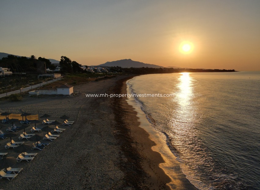 Nouvelle construction - penthouse - Estepona