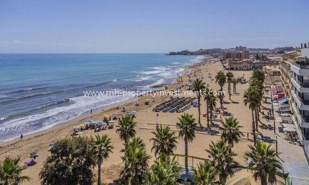 penthouse - New Build - La Mata - La Mata