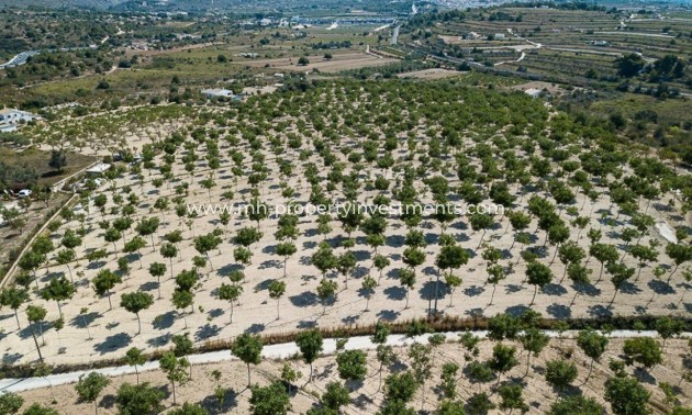 Plot - Resale - Benissa - Benissa