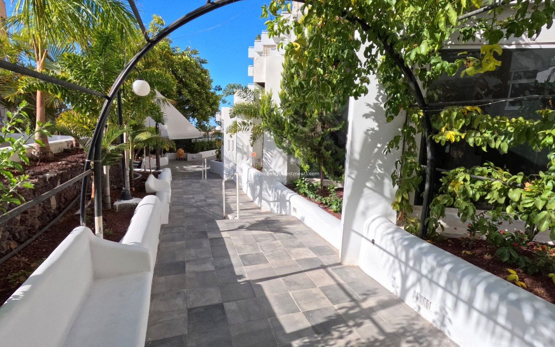 Revente - Apartment - Adeje - Santa Cruz Tenerife
