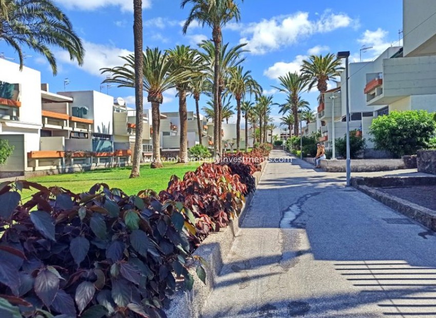 Revente - Apartment - Costa Del Silencio - Primavera Costa Del Silencio Tenerife