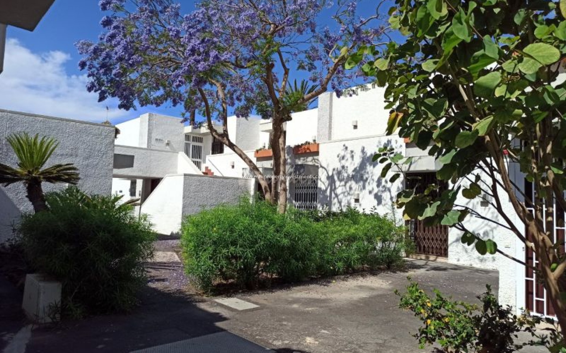 Revente - Apartment - Costa Del Silencio - Primavera Costa Del Silencio Tenerife