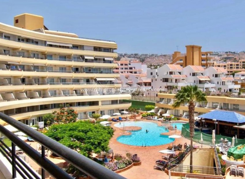 Revente - Apartment - San Eugenio - Santa Maria San Eugenio Tenerife