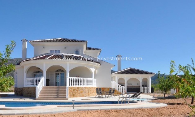 Villa - New Build - Pinoso - Lel